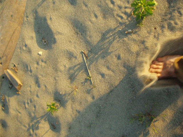a sand-splashing foot